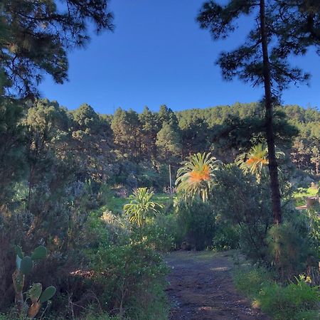 Monte Frio De Tenerife La Guancha Buitenkant foto