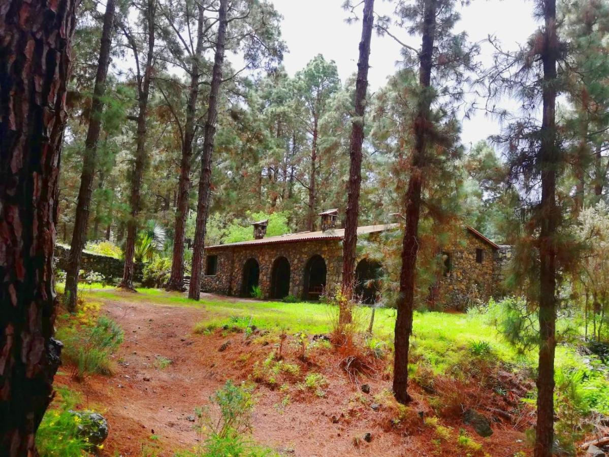 Monte Frio De Tenerife La Guancha Buitenkant foto