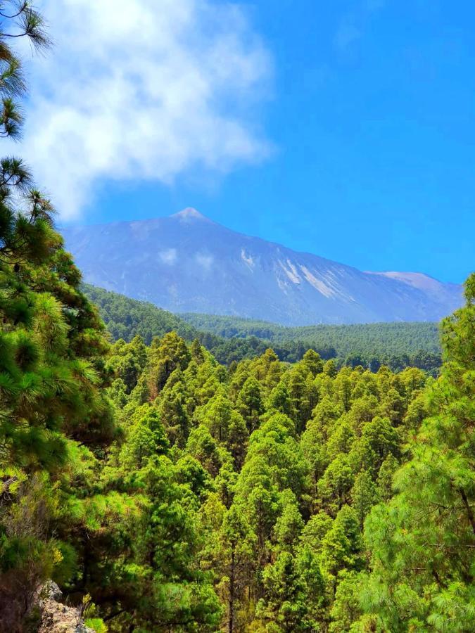 Monte Frio De Tenerife La Guancha Buitenkant foto