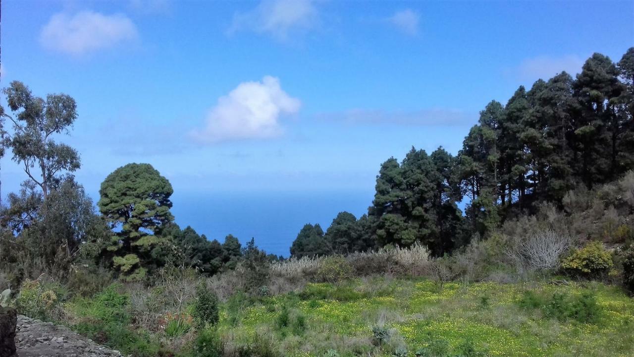 Monte Frio De Tenerife La Guancha Buitenkant foto